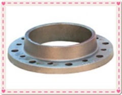 BS stainless steel Welding Neck Flange