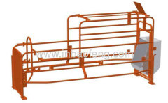 Advanced galvanized pipe sow farrowing crates