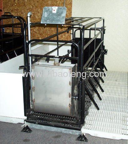 galvanized pig farrowing stall