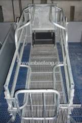 American style galvanized pipe pig farrowing crates