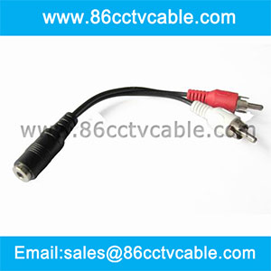 3.5mm Stereo to 2 RCA cable