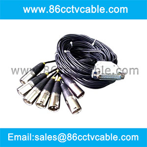 DB25 Multipin to 8 XLR 3-pin Cable