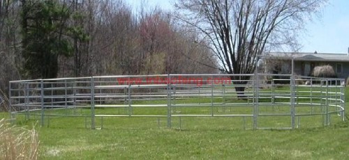 new style high quality metal horse panels