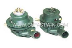 Truck Water Pump for China Car