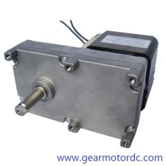 DC Gear Motor