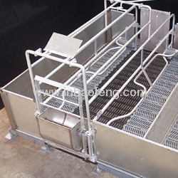 Scientific galvanized pig equipment gestation crates