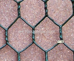 hexagonal wire mesh