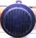 buick chevrolet kadilac pontiac holden saab gmc saturn disc horn