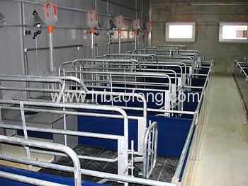 American pig cage xinbaofeng