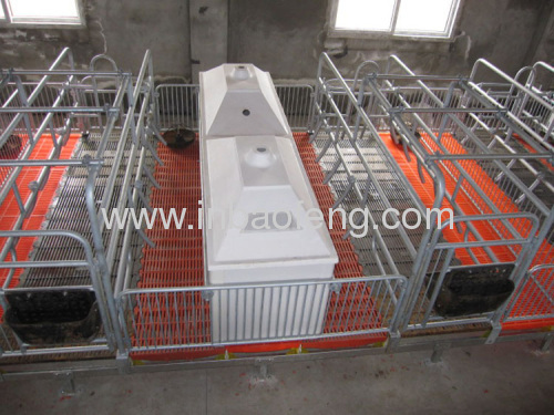 High quality galvanized pipe sow farrowing crate