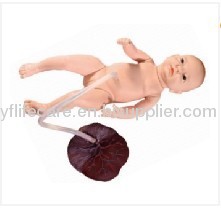 Neonatal umbilical cord nursing model