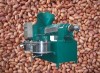 6YL-120 peanut oil press machine