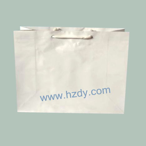 Plain white kraft paper bag