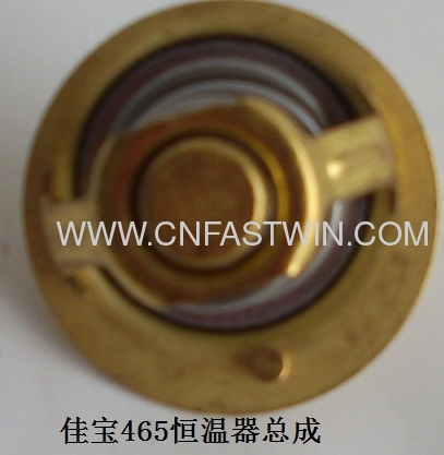 china auto Electric Thermostat