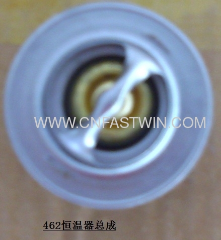 Electric Thermostat for China car