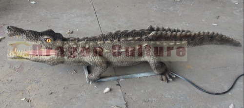 Amusement park attractions crocodile