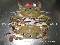 Three spot crab