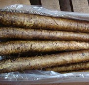 Fresh Burdock