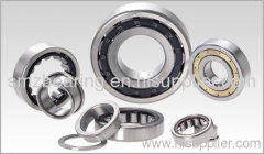 Cylindrical Roller Bearings