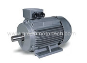 Y2 series three phase induction motor