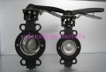 High Performance Butterfly valve