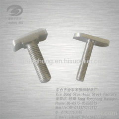 Stainless steel T-slot bolts