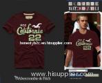 hot sale hollister t-shirts with wholesale price and excellent quality