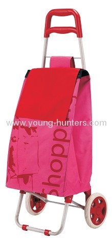 2012 fashionable rolling folding shopping trolley