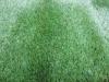 Custom 30mm 12800Dtex Outdoor Artificial Fake Grass Decoration Garden Turf Lawns