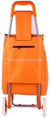 fashionable plastic shopping trolley bag china