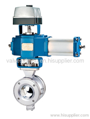 Segment ball Valve