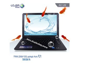 windows 7 intel atom d2500 dual core 160g 13 laptop notebook pcs