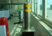 stainless automatic rising bollard