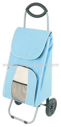 2012 Beatiful Folding Shopping Trolley Bag