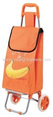 Special Market Hand Shopping Folding Trolley Bag