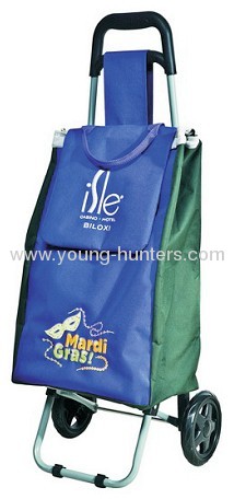 Fashionable Newspaper Fold Shopping Cart Trolley bag