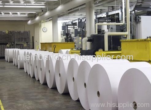 china popular export a4 copy print office paper