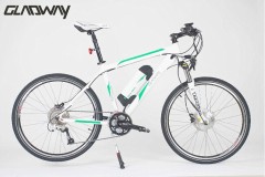 lithium battery electric bicycle