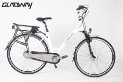 urban lithium battery electric bicycle