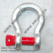 SCREW PIN ANCHOR SHACKLE