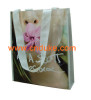 nonwoven bag