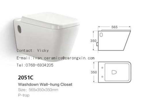 Washdown Wall hung Toilet