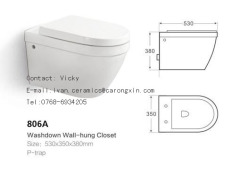 Wall hung Toilet