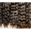 Brazilian virgin human hair