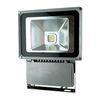 Pure White AC 220V / 100W Bridgelux Outdoor Led Flood Light Bulb Fixtures for cabinet