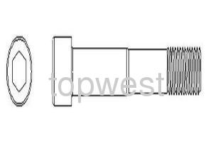 Caliper Bolt