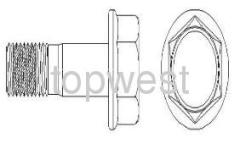 Caliper Bolt