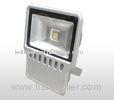 Super Bright outdoor Pure White or RGB IP65 40W Cob Led Projector Lamps