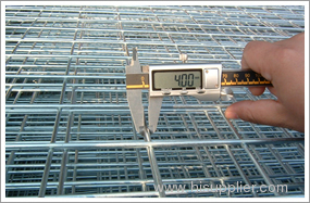 Welded Wire Mesh