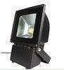 Lower Power FL2240 AC220V/40W Led Landscape Lighting Fixtures with 5mm Tempered Glass
